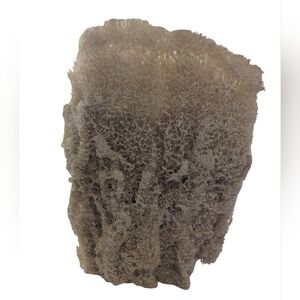 Natural Sea Sponge Wire Vase Sponge 11"